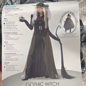 California Costumes Gothic Witch Costume with Hat Size Small Petite